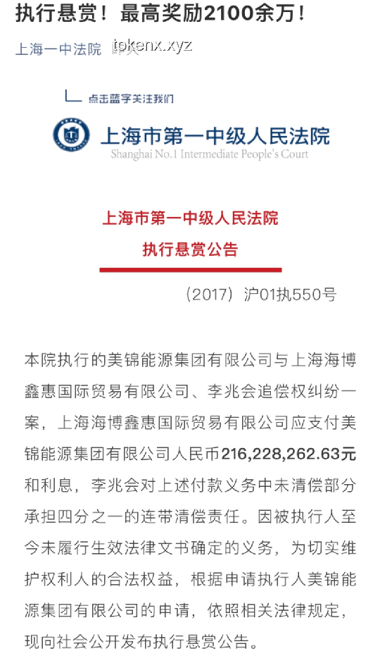 孙娜（女）被公开悬赏：债务纠纷背后的法律执行机制深度剖析